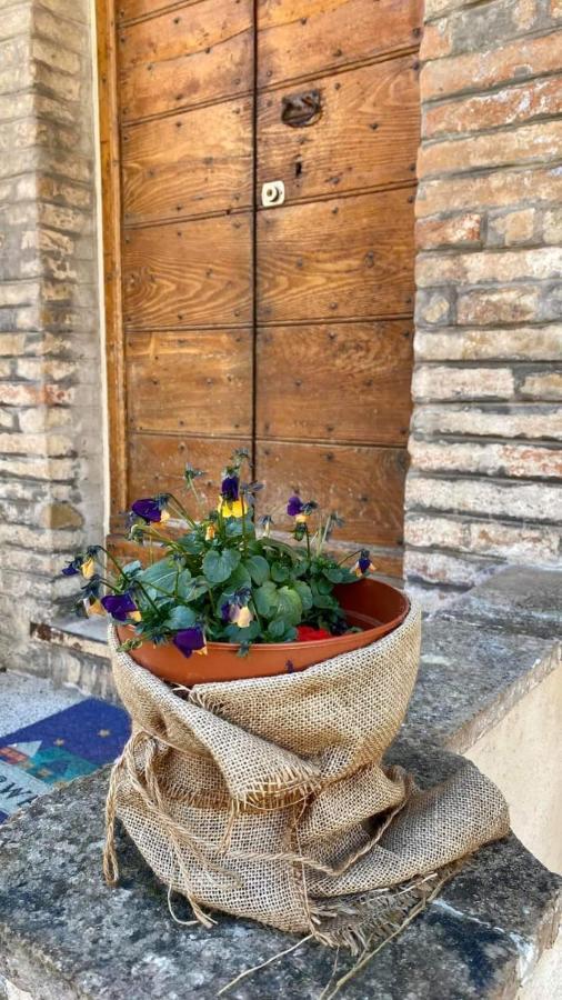Umbria In Bike B&B Foligno Ngoại thất bức ảnh